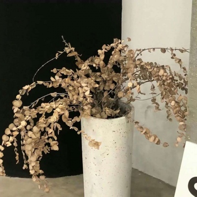 Furry色彩搭配技巧福瑞交流群